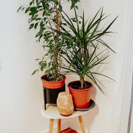The Change House- Cozy Vibe Terasa Dormitoare Separate 브라쇼브