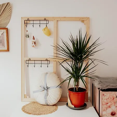 The Change House- Cozy Vibe Terasa Dormitoare Separate Apartment